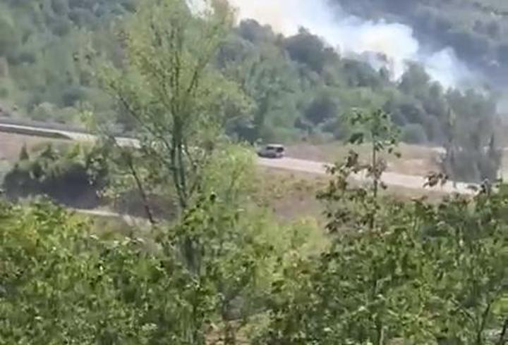 Bartın'da orman yangını büyümeden söndürüldü