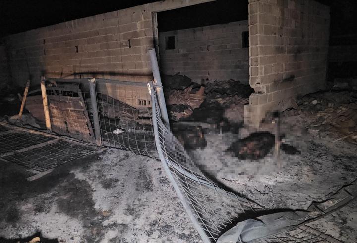 Ahırda çıkan yangın, 2 ev ve depoya sıçradı; 80 küçükbaş öldü