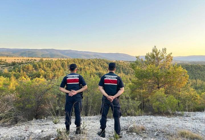 Saraydüzü'nde jandarmadan orman denetimi