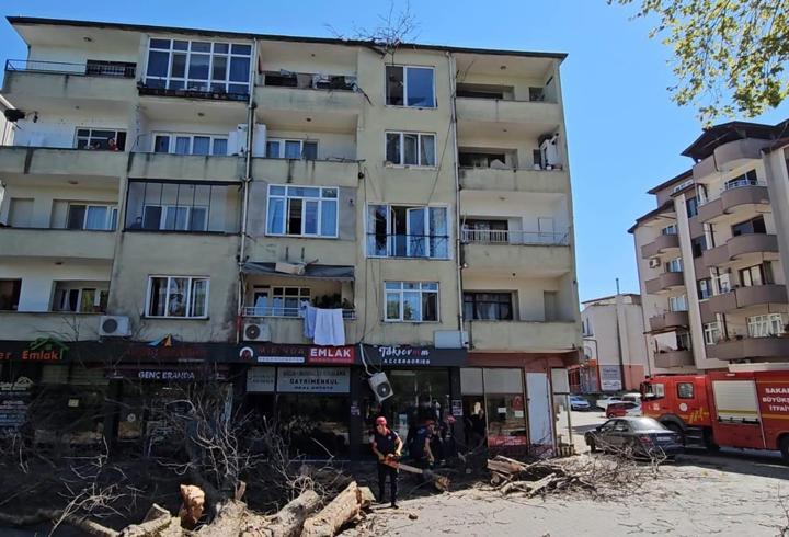 Sakarya'da devrilen çınar ağacı apartmanda hasar oluşturdu