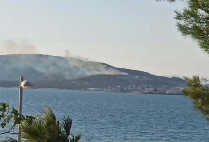 Cunda Adası’nda orman yangını