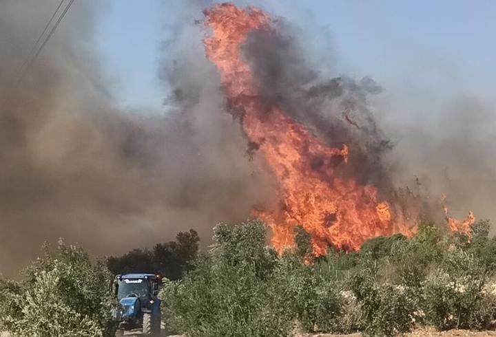 Mersin'de orman yangını: Havadan karadan müdahale sürüyor