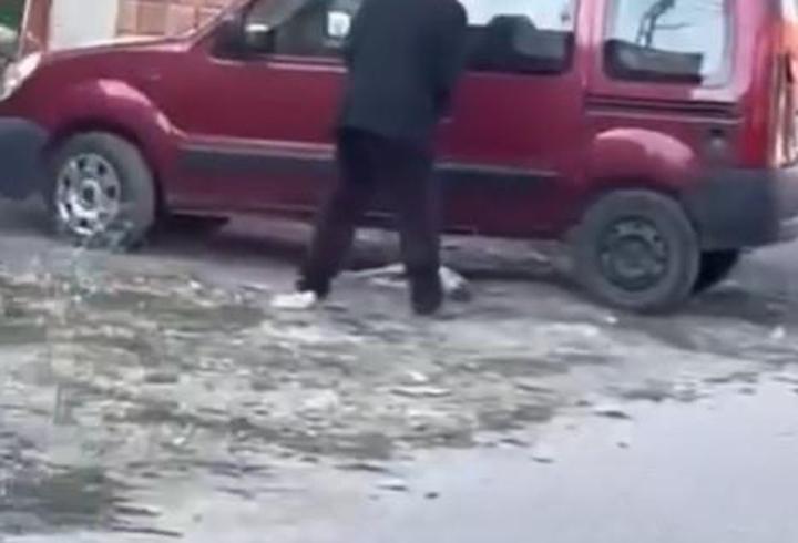 Sivas'ta yavru köpeğe sopayla şiddete para cezası