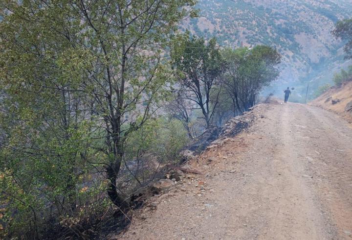 Elazığ'daki örtü yangını kontrol altına alındı