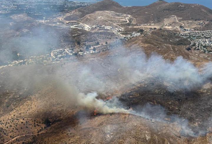 Bodrum'da Otluk Alanda Yangın Çıktı