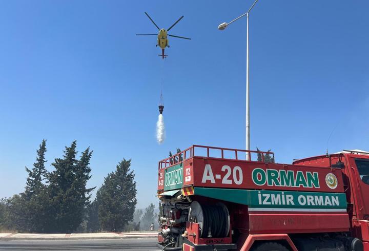 İzmir'de orman yangını