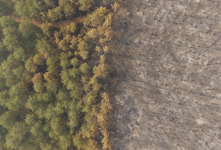 Bursa'daki orman yangını 4'üncü gününde; yanan alanlar dronla görüntülendi