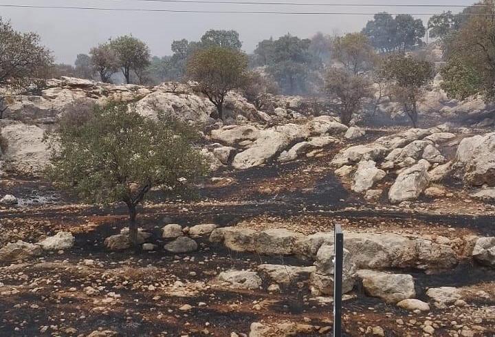 Mardin'de örtü yangını, 2 saatte söndürüldü