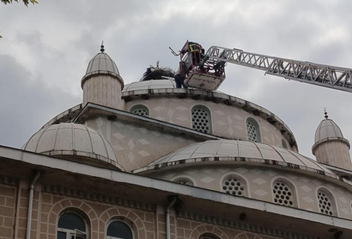Cami kubbesinde ayağı sıkışan leylek kurtarıldı
