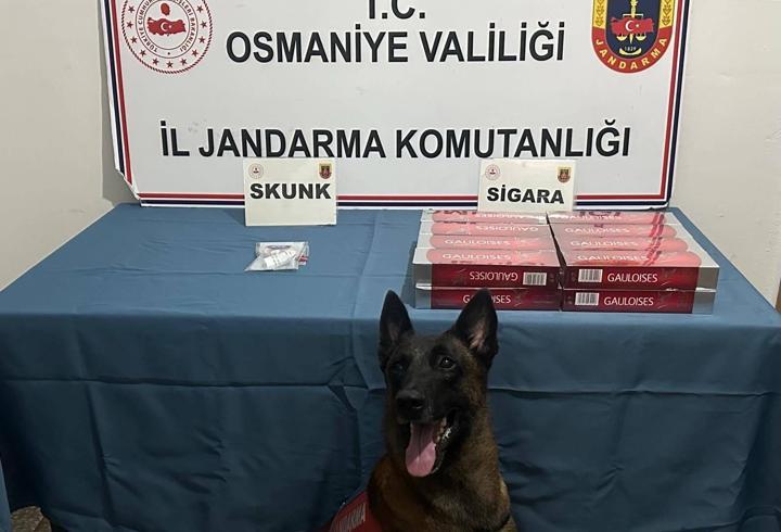 Osmaniye’de jandarma son bir haftada 114 şüpheliyi yakaladı