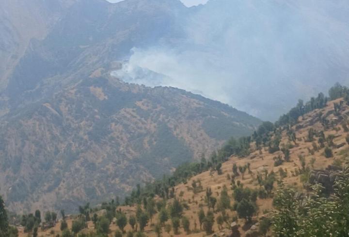 Şırnak’ta ormanda örtü yangını