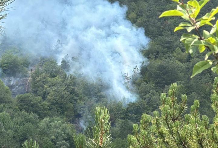 SON DAKİKA... Bolu'da orman yangını
