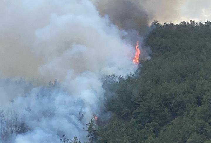 Karabük'te korkutan alevler! Orman yangınına havadan müdahale