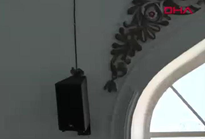 Camideki yavru kumrular ilgi odağı oldu
