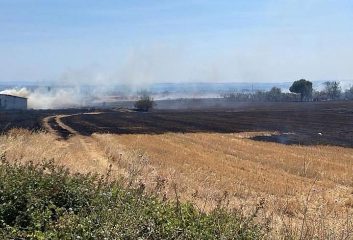 Çanakkale'de çıkan anız yangını söndürüldü