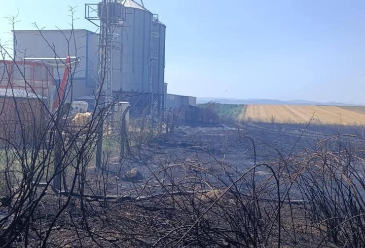 Edirne'de anız yangını; fabrikaya sıçramadan söndürüldü