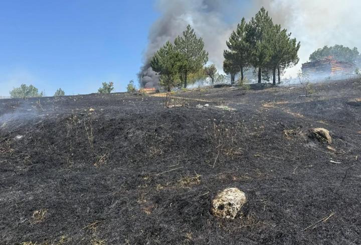 Kastamonu'da orman yangını büyümeden söndürüldü