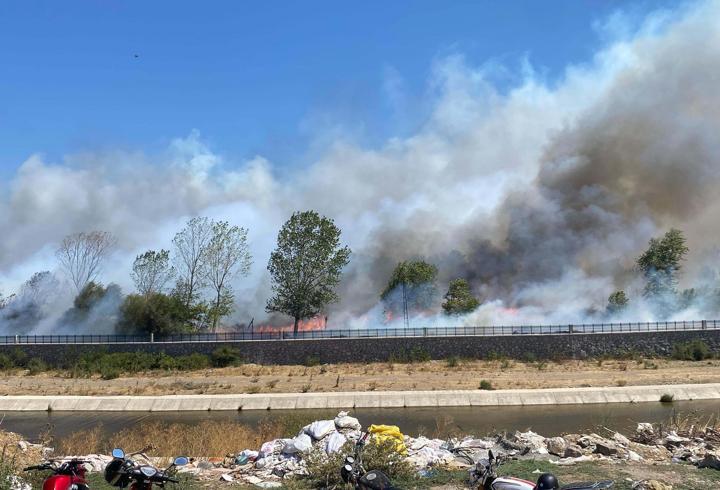 Çanakkale'de Ayvacık'ta da orman yangını çıktı