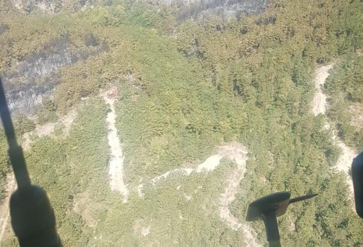 Bolu'da orman yangını kontrol altında; 2 gözaltı