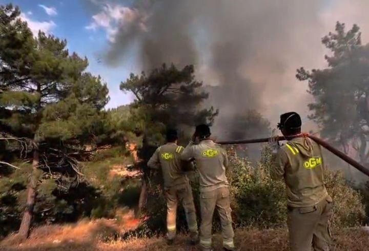 Mersin'deki orman yangını 2'nci gününde