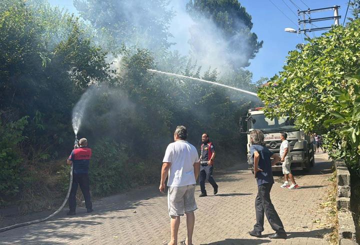 Zonguldak'ta ağaçlık alanda çıkan yangın söndürüldü