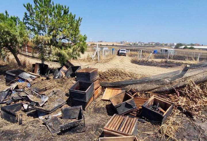 Anız yangınında 150 arı kovanı zarar gördü