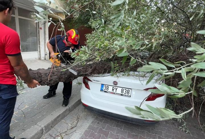 İstanbul - Avcılar’da 3 ağaç şiddetli rüzgar nedeniyle devrildi