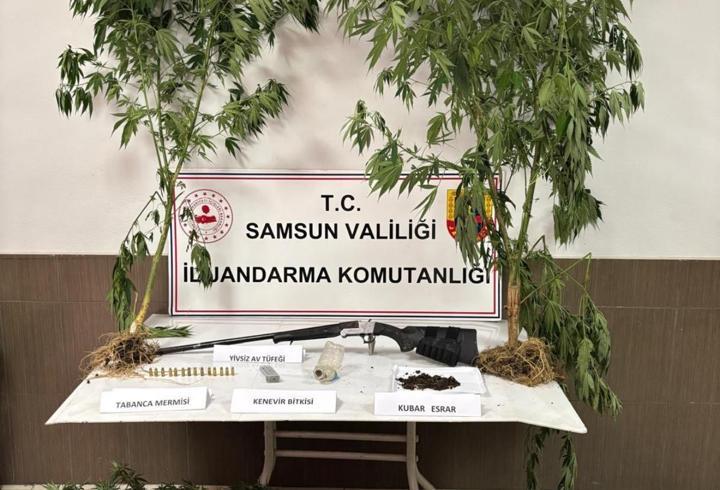 Samsun'da uyuşturucu operasyonunda 1 kişi yakalandı