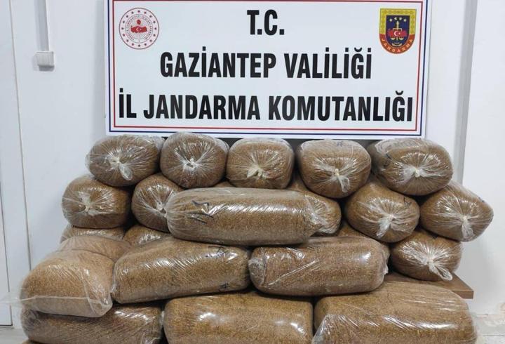 Gaziantep’te kaçak sigara operasyonu