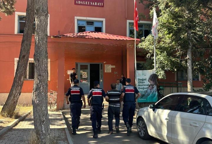 Arıları sakinleştirmek isterken 80 hektar ormanı yaktı