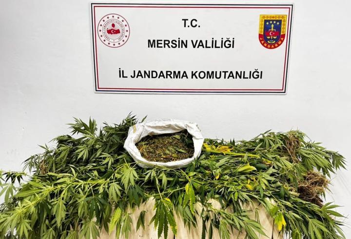 Jandarmadan uyuşturucu madde operasyonu