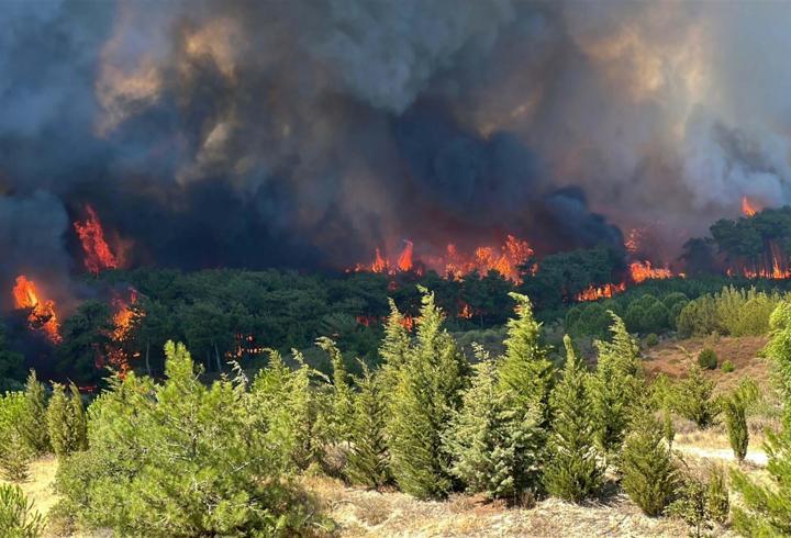 Çanakkale'deki 4 yangında 5 bin 236 hektar orman alanı zarar gördü