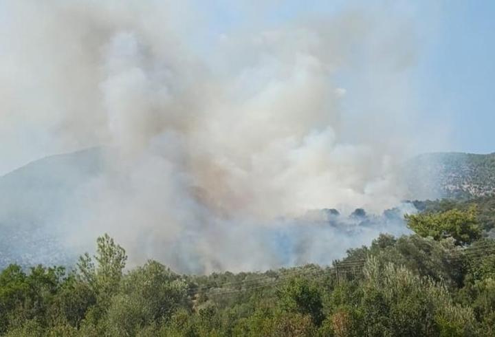 Muğla'da orman yangını: Ekipler müdahale ediyor