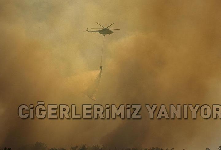 SON DAKİKA | Çanakkale, Muğla, İzmir, Malatya, Bursa...! Ciğerlerimiz yanıyor, alevlerle mücadele sürüyor