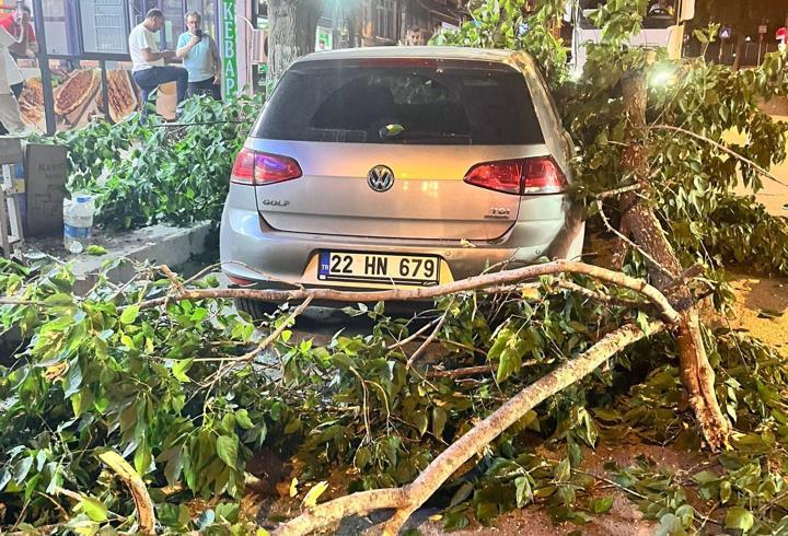 Edirne'de ağaç dalı otomobil ve minibüsün üzerine devrildi
