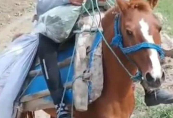 Av tüfeğiyle oynarken kendini vurdu; hayatını kaybetti