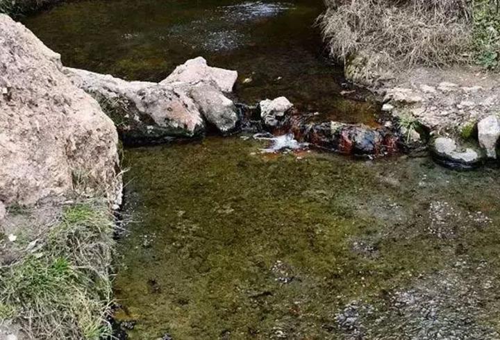'Şifalı' denilen su can aldı! Talihsiz çiftin acı sonu...