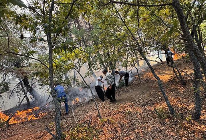 Adana’da orman yangını