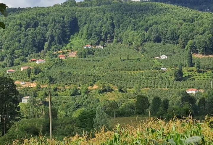 Ordu’da internet direkleri ve kabloları çalındı