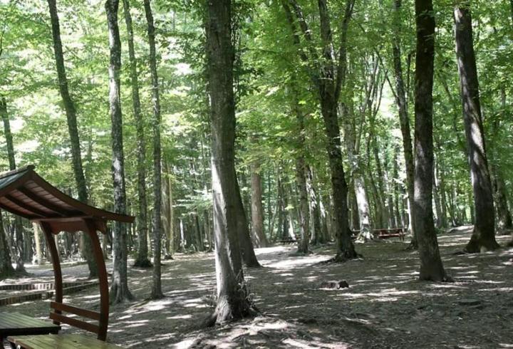 Ankara'da ateşli piknik yasağı uzatıldı
