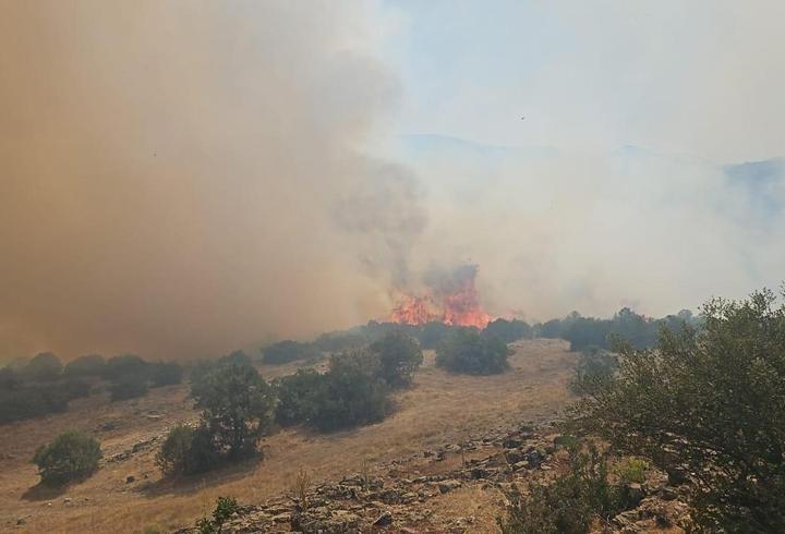 Balıkesir Kepsut’ta orman yangını