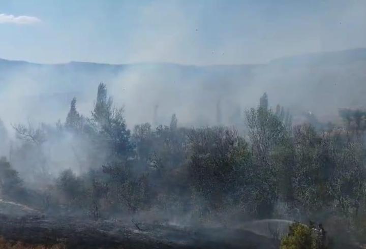 Konya'da arazide çıkan yangın söndürüldü