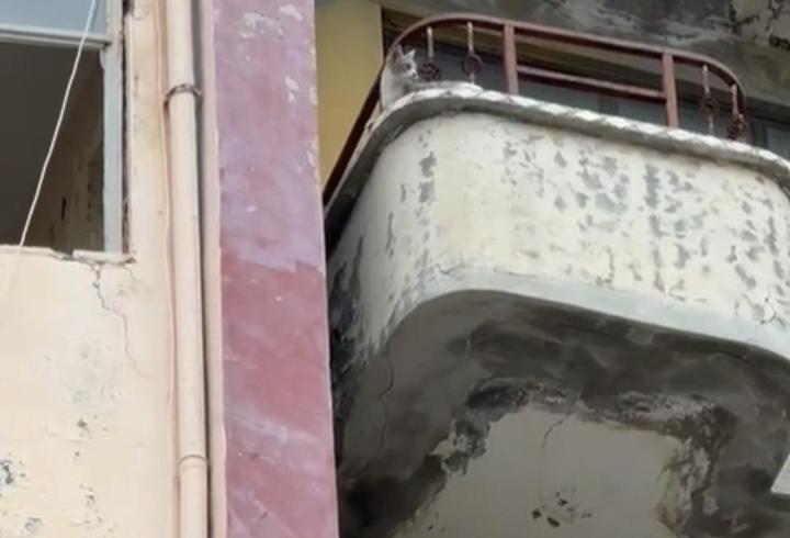 Balkonda mahsur kalan kediyi itfaiye kurtardı