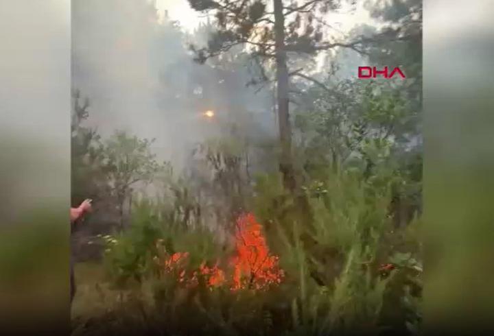 SON DAKİKA HABERİ: Ataşehir'de orman yangını