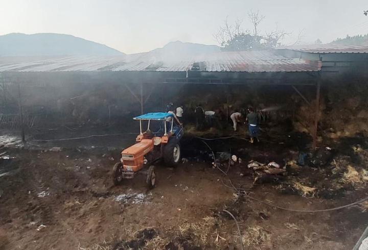 Yangında samanlar yandı, 4 büyükbaş öldü