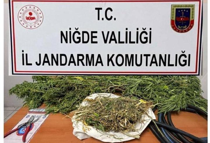 Niğde'de uyuşturucu operasyonu: 2 gözaltı