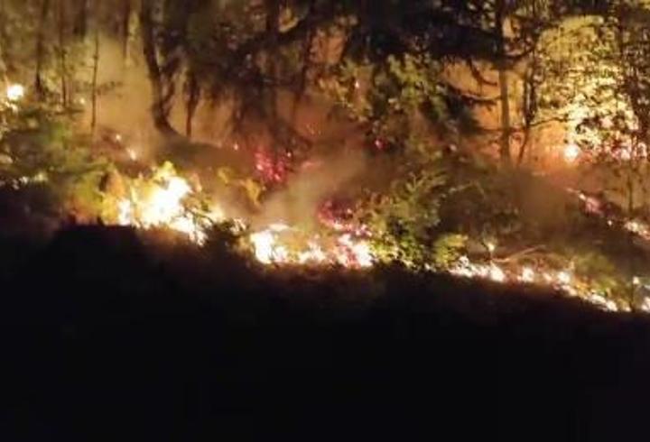 Düzce Yığılca'da orman yangını; 2 saatte kontrol altında