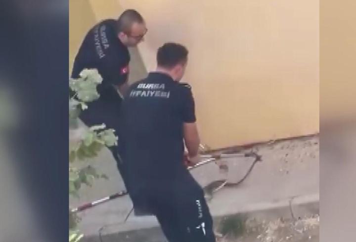 Bahçede görülen yılanı, itfaiye ekiplerinin yakalama anı kamerada