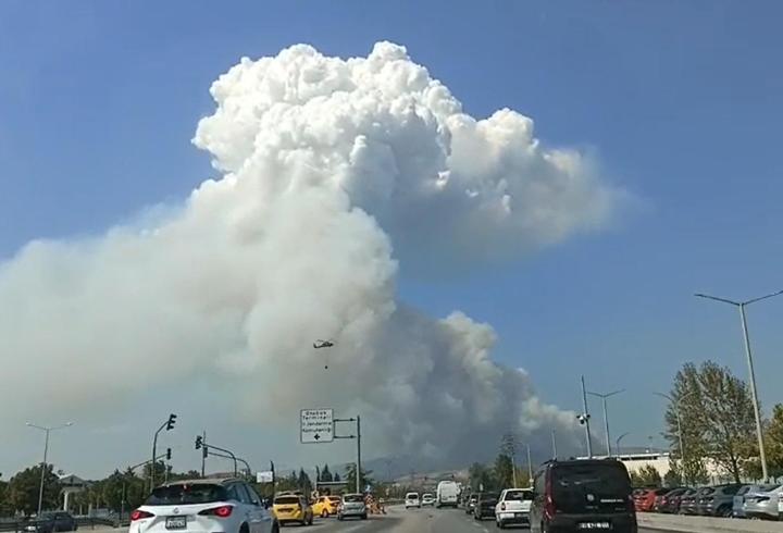 Son dakika... Bursa’da orman yangını!