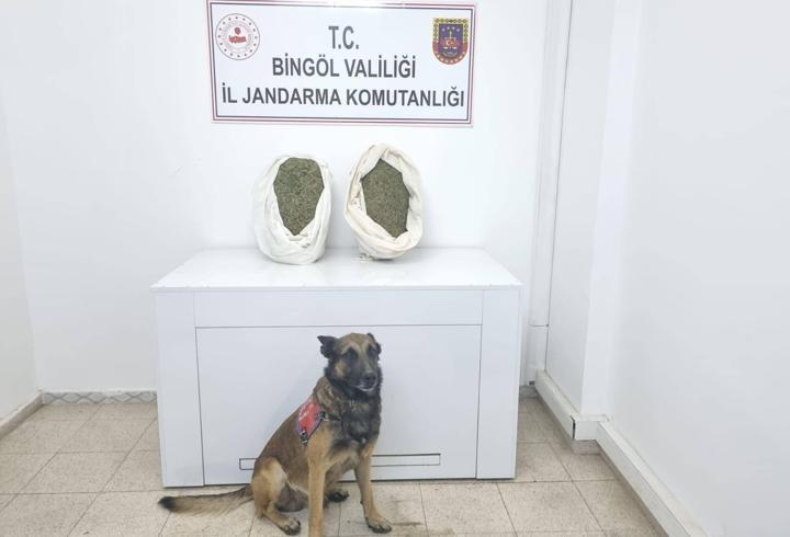Bingöl'de araçta bulunan uyuşturucuya 1 tutuklama